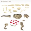 4D Vision Dinosaur Anatomy Model - Interactive Dinosaur Skeleton &