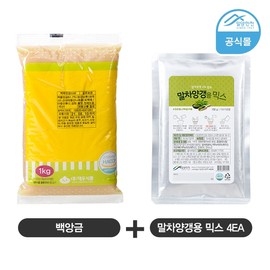 Homemade matcha bean curds made easily with the matcha bean curd making set mix / 말차양갱만들기세트 믹스로 간편하게 만드는 수제 말차양갱