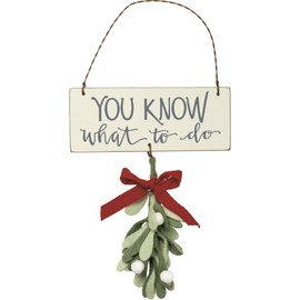 Bird's Nest Gifts and Antiques, Wood, Felt, Wire, Ribbon, Christmas Hanging Mistletoe Decor Ornament You Know What to Do!