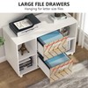 LITTLE TREE 2 Drawer File Cabinet Large Mobile Lateral Filing