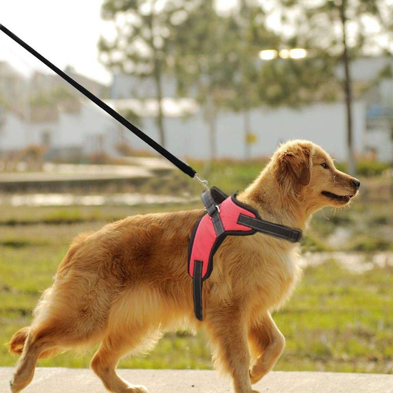 No Pull Dog Harness Outdoor Adventure Pet Vest with Handle