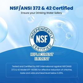Waterspecialist WS638 Water Filter,Replacement for W10295370A, Everydrop® Filter 1, EDR1RXD1, EDR1RXD1B, P8RFWB2L, P4RFWB, Kenmore® 46-9081, 46-9930, Refrigerator Water Filter, 3 Filters