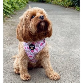 Adjustable macaroon dog harness/car suitable/for no pulling XXS- Medium (Small)