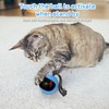 Micnaron Interactive Cat Toy Ball with Remote Control, Automatic Rolling