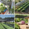 Shade Cloth for Plants Greenhouse, 40-50% Sunblock Shade Sails -for