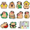 Fridge Magnets, 10 Pack Cute Lovely Capybara DIY Magnets for