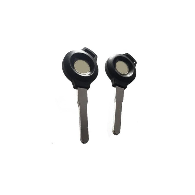 isbridge Suitable Fit For 2X Blank Key Royal INT 650