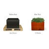 PLANTERCRAFT Corten Steel Metal Planter Box, Square & Cube Sizes,
