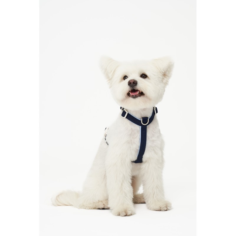 PETHROOM [Festroom] Anti-Shock Manners Leash Dog Walking Lead Neck Collar