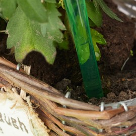 Relaxdays Plant Watering Globes Set, 2-Week Reservoir for Potted Plants, Plastic, Various Colours