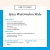 Watermelon Reàl Infused Exotics, Watermelon Puree Infused Syrup, 16.9 FL