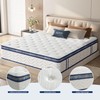 SogesSleep Twin Mattress, 10 Inch Hybrid in a Box with