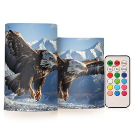 ALAZA Flying Eagle Flickering Flameless Candles Battery Operated with Remote Timer,Tea Light Candles LED Pillar Votive Candles Set of 2 for Outdoor Indoor Decorations