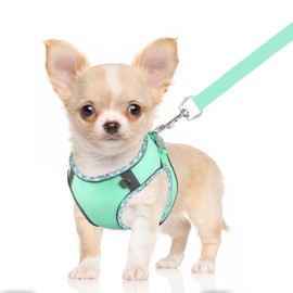 DoggieKit Dog Harness for Small Medium Dogs No Pull Adjustable Step in Puppy Harness and Leash Set,Reflective Breathable Mesh Pet Harnesses Soft Padded Vest for Dogs Easy to Put on (Green, XXS)