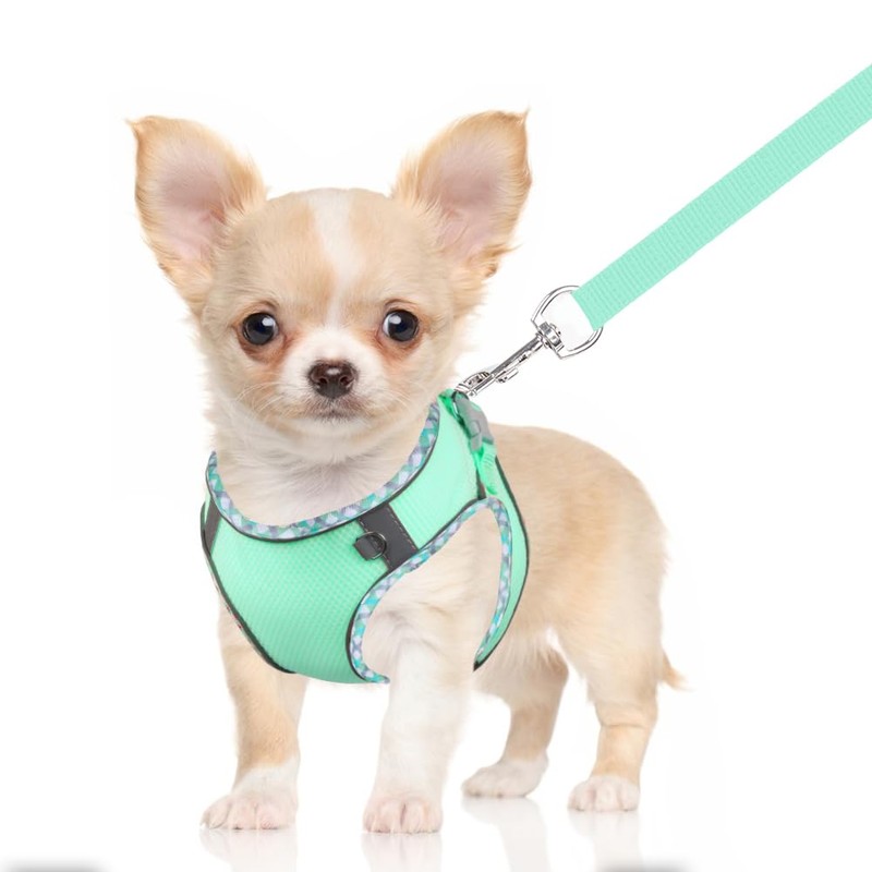 DoggieKit Dog Harness for Small Medium Dogs No Pull Adjustable