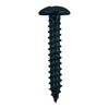 DAIDOHANT 10185595 Black Self Tapping Screw [Truss Head] (Nominal Diameter