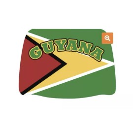 Guyana New 2 Piece Guyana Flag Auto Car Seat Head Rest Covers