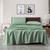 Chezmoi Collection 4-Piece Sage Green Sheet Set Queen Size -