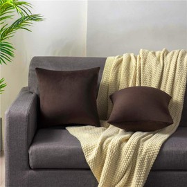 DEZENE Decorative Pillow Cases 20x20 Chocolate Brown: 2 Pack Cozy Soft Velvet Square Throw Pillow Covers for Farmhouse Home Decor