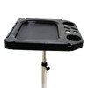 ZERNEIL Salon Tray Cart with Storage Platform, Tattoo Tray with