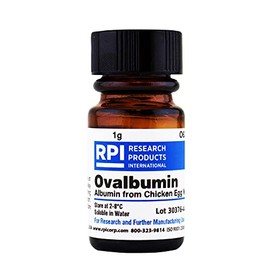 Ovalbumin [Albumin from Chicken Egg White], 1 Gram