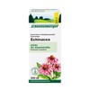 Schoenenberger Echinacea Natural Plant Juice Coneflower, 200 ml Solution