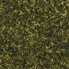 Harmony House Foods Dried Broccoli, Flowerets (2 oz, ZIP Pouch)