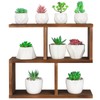 Jotsport Window Sill Plant Stand Small Wood Plant Shelf for