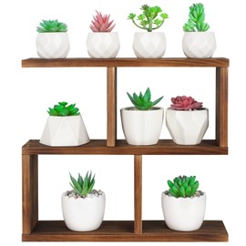 Jotsport Window Sill Plant Stand Small Wood Plant Shelf for Succulents 3 Tier Tabletop Desktop Plant Dislay Rack