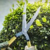 Telescopic Hedge Shear, 25 to 33Inch Garden Shears,Carbon Steel Wavy