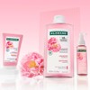 클로란 [민감두피&두피진정] 피오니 샴푸 400ml x 2개 + 200ml +