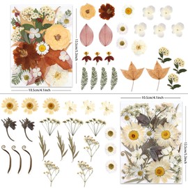 LUXEEASE 100P Vintage White Dried Flowers for Crafts, Real Natural Pressed Flowers in Retro White Tones for Resin Art, DIY Crafts, Jewelry & Candle Decor – Tweezers Included