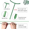 Belit 12 Pack Plant Support Stake, Half Round Plant Support