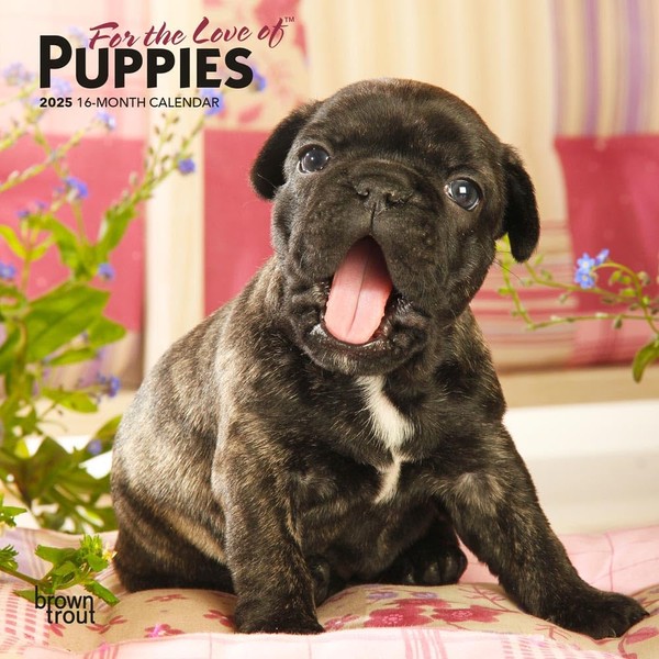 For the Love of Puppies | 2025 7 x 14