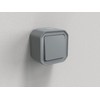 Legrand - Plexo 10A waterproof two-way or two-way switch delivered
