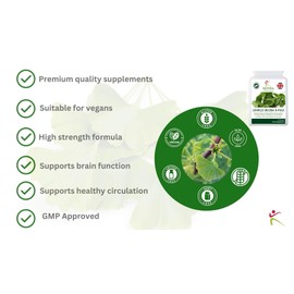 High Strength Ginkgo Biloba - 90 Ginkgo Capsules with Added B Vitamins - 2000mg equivalent per capsule - Easy to Swallow capsules - Vegan and Vegetarian Friendly