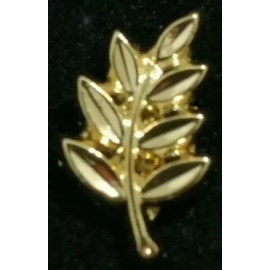 Freemason Masonic Lapel Pin