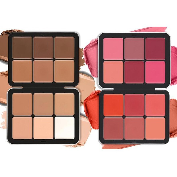 12 Color Concealer & Blush Palette, 2 Counts Matte Concealer