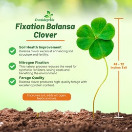 Outsidepride Fixation Balansa Clover Seeds for Lawn - 5 lbs. Coated & Inoculated, Cold Season, Drought Tolerant Cover Crop Seeds, Ideal for Erosion Control, Pasture, & Pollinator-Friendly Garden
