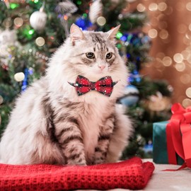 Baipesiy Cat Kitten Collars Christmas with Bow Tie and Bell, Snowflake Plaid Cat Collar Breakaway Design, Soft and Removable, 2-Pack for Holiday and Daily Use Cat Accessory (Red and Green Snowflakes)