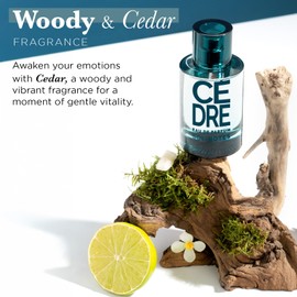 SOLINOTES Cedarwood Perfume for Men - Eau De Parfum | Refined Woody and Soothing Fragrance - Made in France - Vegan - 1.7 fl.oz