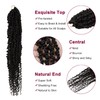 Passion Twist Hair - 8 Packs 22 Inch Passion Twist