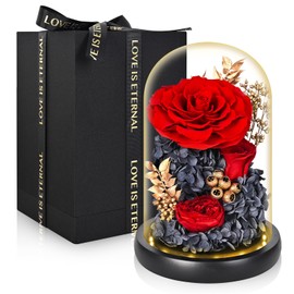 TERRALYX Preserved Roses in Glass Dome,Eternal Rose with Led Light,Forever Flowers for Wife,Long Lasting Forever Flowers,Birthday Flowers for Women,Valentine Mother's Day Anniversary Thanksgiving