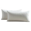 PILLOWS WITH A PURPOSE Down Alternative Microfiber Filled Inserts, (12"