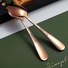 Kyraton Rose Gold Coffee & Tea Spoons, 6pc Stainless Steel