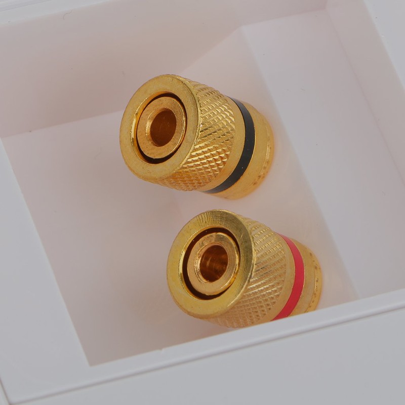 Sharplace 2x Speaker Socket, Wall Socket, Multimedia Speaker Connection, Speaker