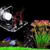 Acrylic Transparent Aquarium 4 Hole Front Bending Coral Frag Stand
