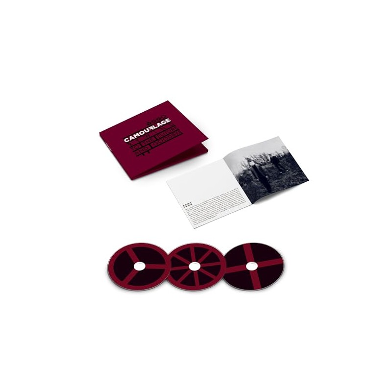 Rewind To The Future And Goodbye (3CD)