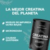 Quotidien | Creatina Monohidratada Micronizada de pureza superior a cualquier