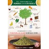 Moringa Tea, Made in Japan, Caffeinated in Kagoshima Prefecture, No
